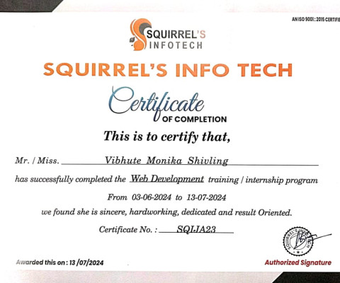 Web Development Training at Squirrels Tech, Satara